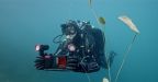 Sealife Sea Dragon 5000F Auto Video + Photo Light SL676
