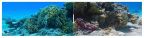 PolarPro Divemaster 3pk Filters - GoPro Hero9-13 Dive Housing PolarPro Divemaster 3pk Filters - GoPro Hero9-13 Dive Housing