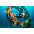 Sealife Ultra-Wide Angle Dome Lens - Micro 3.0 + ReefMaster RM-4K SL052 Sealife Ultra-Wide Angle Dome Lens - Micro 3.0 + ReefMaster RM-4K SL052