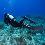 Scubapro Seawing Supernova Dive Fins