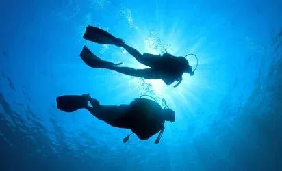 Two scuba divers exploring underwater during a recreational scuba diving dive.