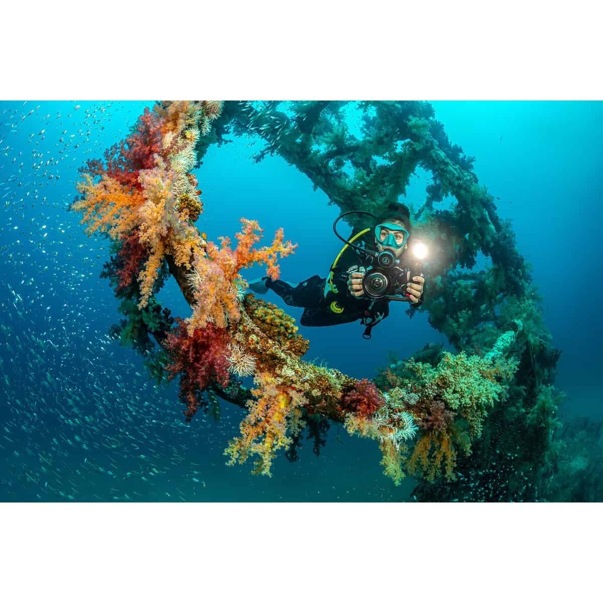 Sealife Ultra-Wide Angle Dome Lens - Micro 3.0 + ReefMaster RM-4K SL052 Sealife Ultra-Wide Angle Dome Lens - Micro 3.0 + ReefMaster RM-4K SL052