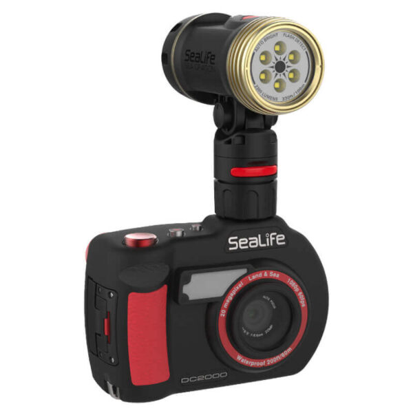 Sealife Flex Connect Cold Shoe Mount Video Light On Camera