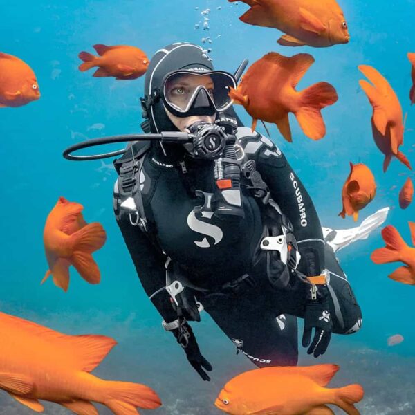 Scubapro Solo Diving Mask Worn Diving
