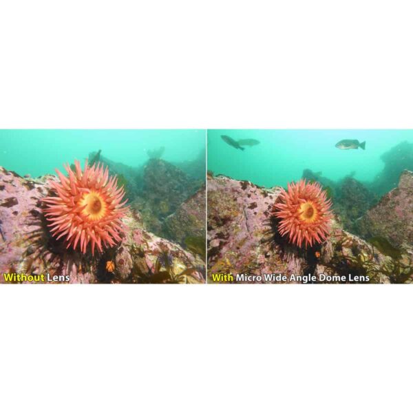 SeaLife Ultra Wide Angle Lens Phot Compared