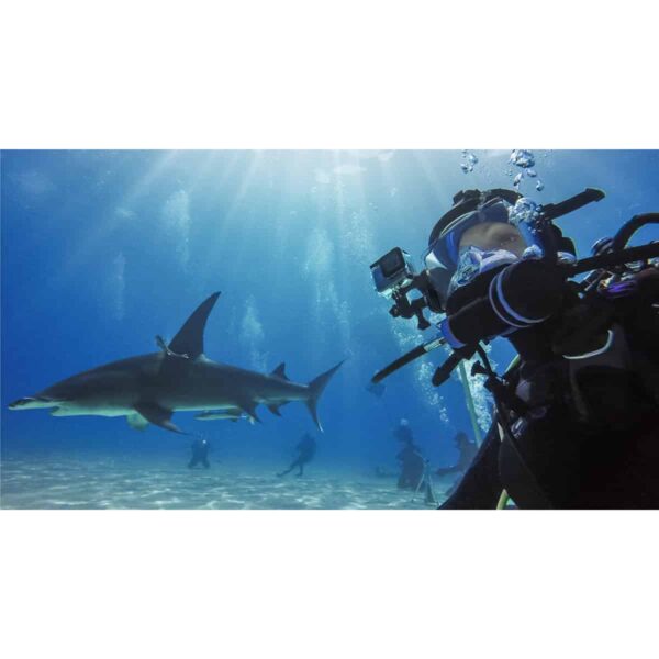 GoPro Hero12 Dive Housing In Use With Sharks