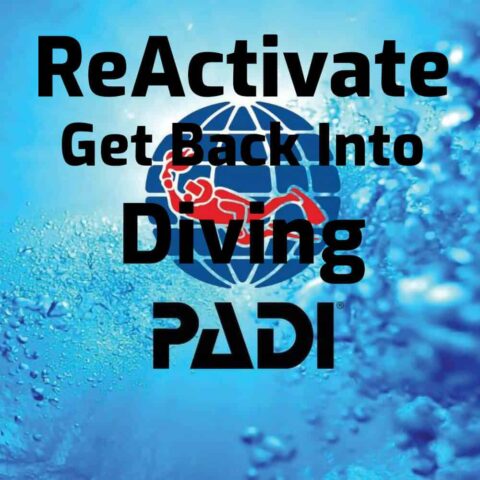PADI ReActivate Diving Course