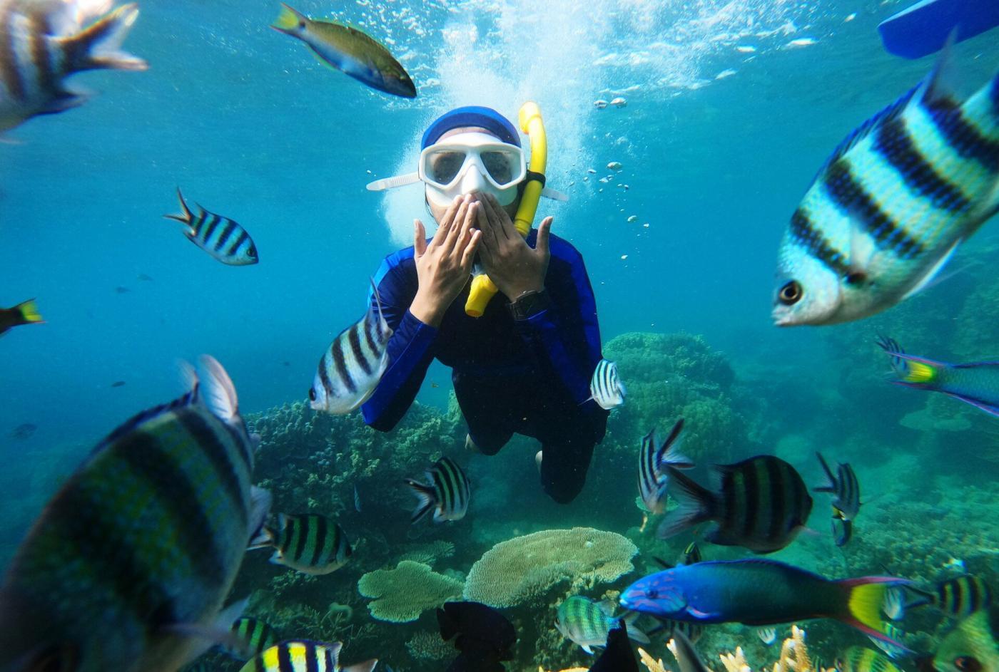 Unveiling the Pros and Cons of Dry Snorkels